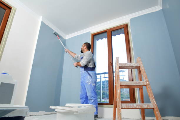 Best Wallpaper Removal and Painting  in Lebanon Junction, KY