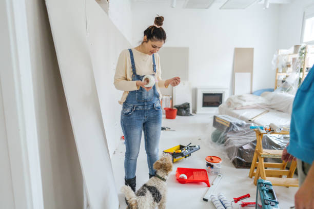 Best Ceiling Drywall Installation  in Lebanon Junction, KY